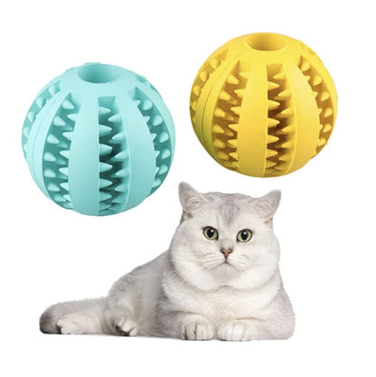 Royaleva Interactive Rubber Ball for Dogs and Cats
