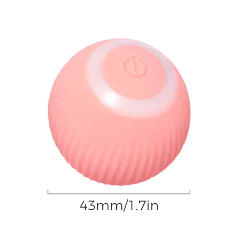 RoyaleGlow 2 in 1 Simulated Interactive Hunting Cat Toy