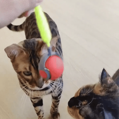 RoyaleGlow Interactive Cat Toys For Indoor Cats 360° Motion