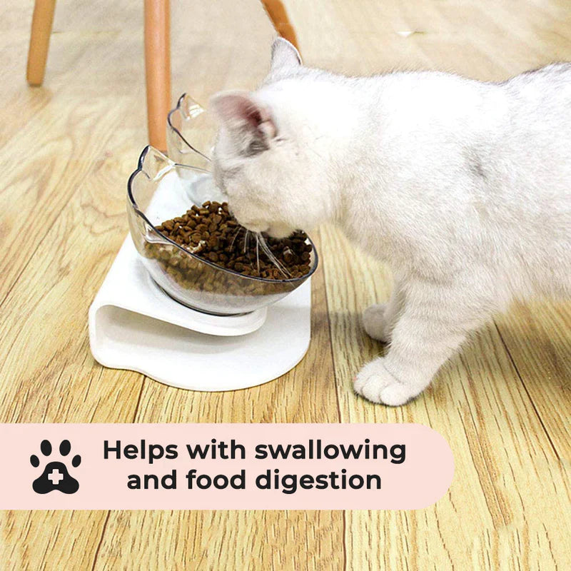 FurLuxe Elevated Anti-Vomiting Orthopedic Cat Bowl for Improved Digestion and Comfort