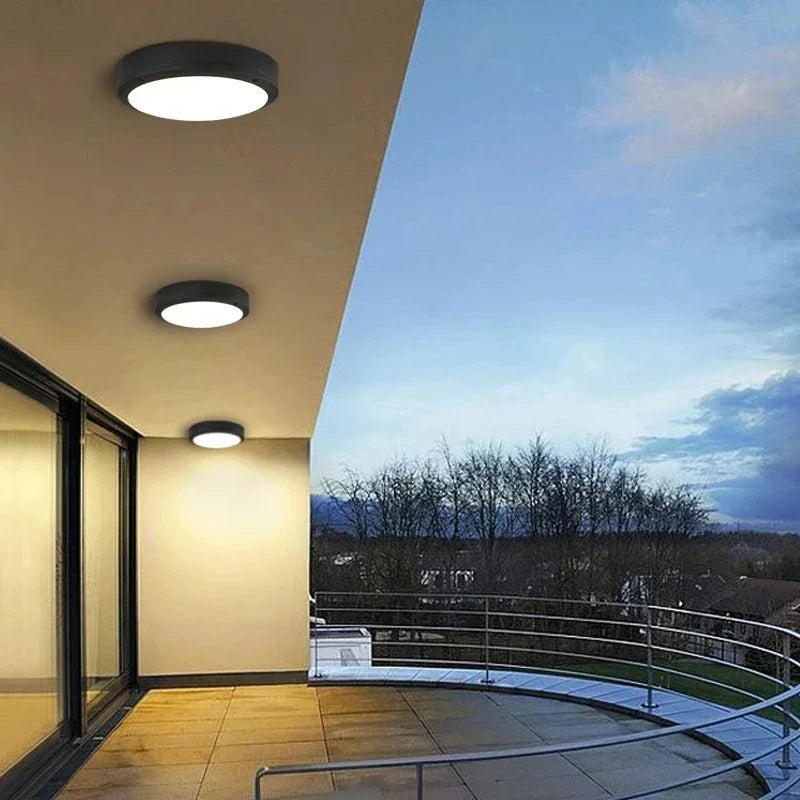 Ayva Outdoor Light 1