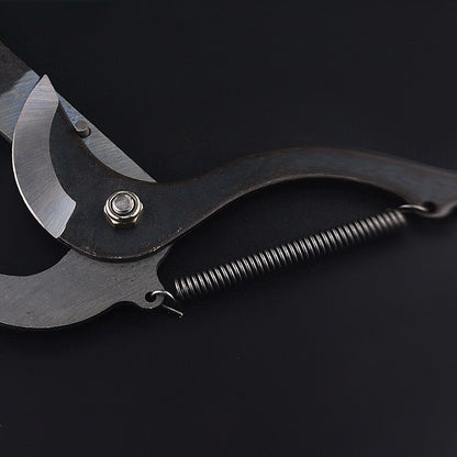 Royaleva High-Altitude Extension Pruning Shears for Easy Trimming