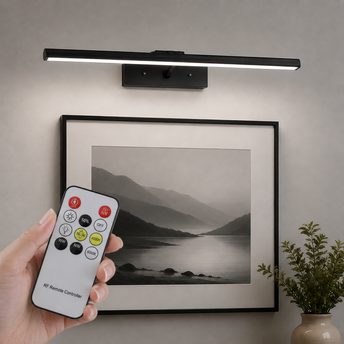 LuxRoyale Premium Brushed Gold Picture Light Rechargeable with Remote