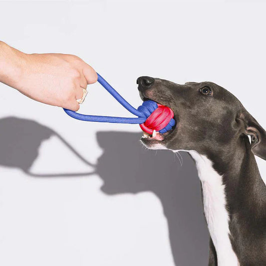 Furora Colorful Tug Rope Toy for Dogs - Durable Dental Health Accessory with Knots for Engaging Playtime