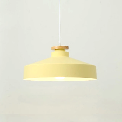 Colorful Metal & Wood Pendant Lights 18