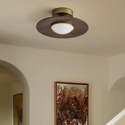 Royelux Contemporary LED Ceiling Lamp With Wood Accent And Metal Frame