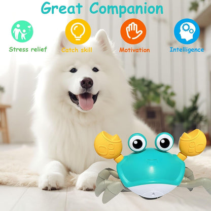 Pawellure Interactive Crawling Crab Dog Toy - Engaging & Fun Pet Activity for All Breeds