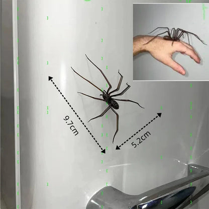 Creative Spider Fridge Magnets Decor For Refrigerators Fun Novelty Magnetic Fridge Accessories Spider magnet home decor items 0