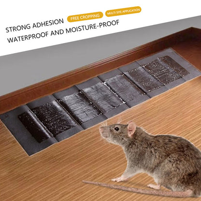 Royaleva 5 Extra-Large Glue Pads For Mice And Rats