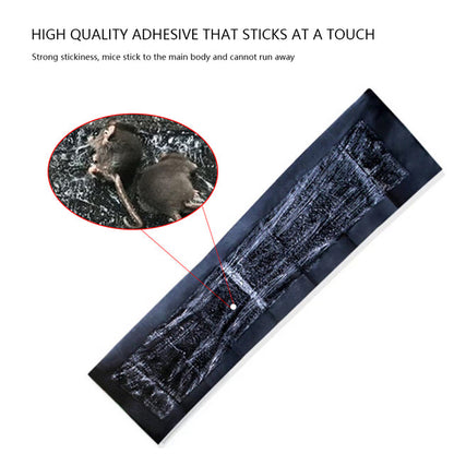 Royaleva 5 Extra-Large Glue Pads For Mice And Rats
