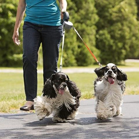 Furora Dual Dog Leash with Flashlight & Waste Bag Holder – Tangle-Free Walking for Two Dogs