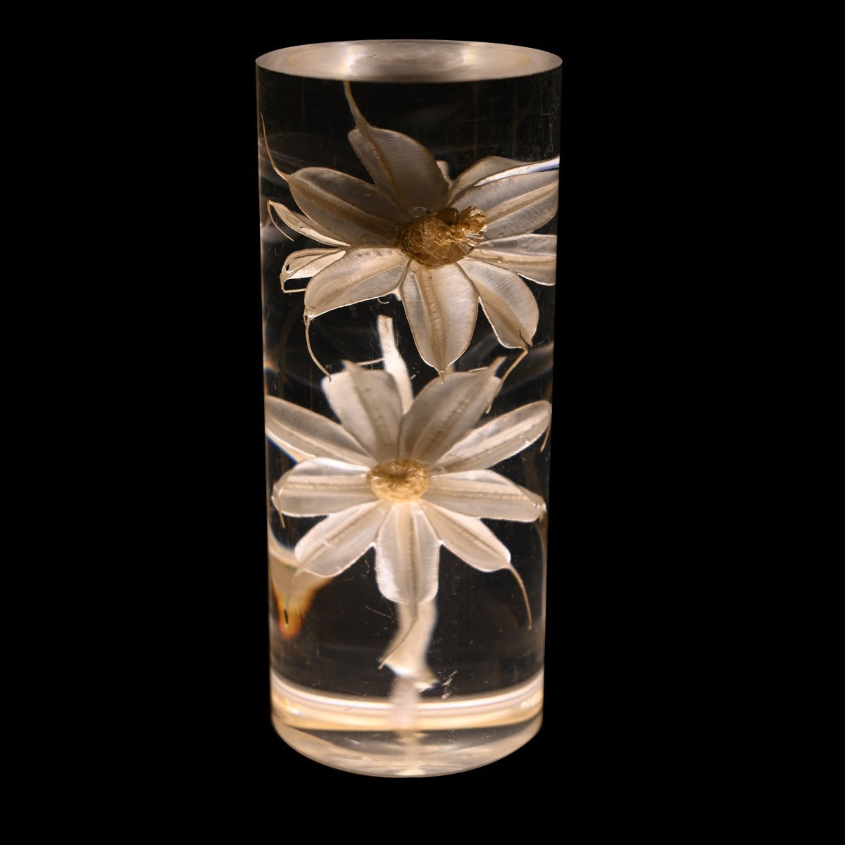 Royelux Floral Table Lamp With Real Flowers And Ambient Glow