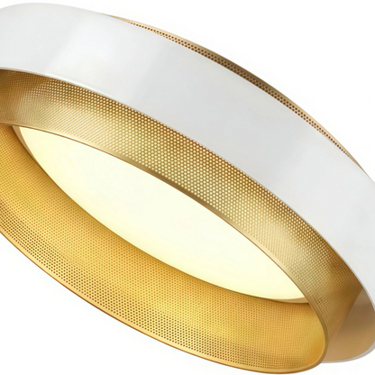 Excelis Modern Ring Ceiling Light — Metal & Acrylic Annular Design for Dining Room 6