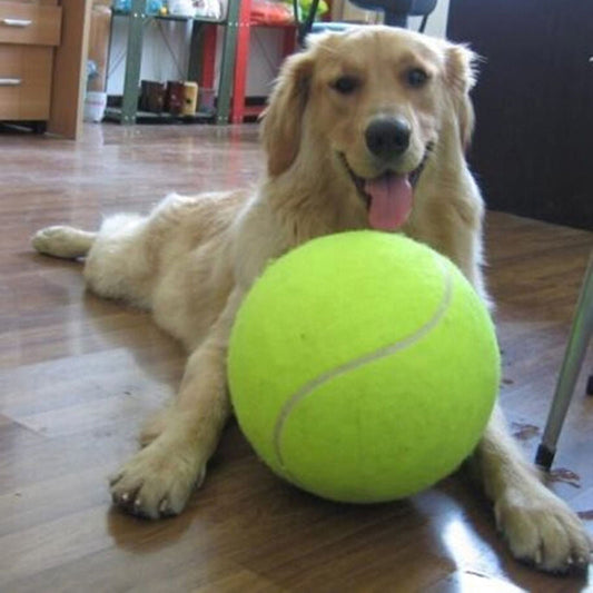 Royaleva Large Tennis Ball For Your Dog – XXL – 24 cm Diameter