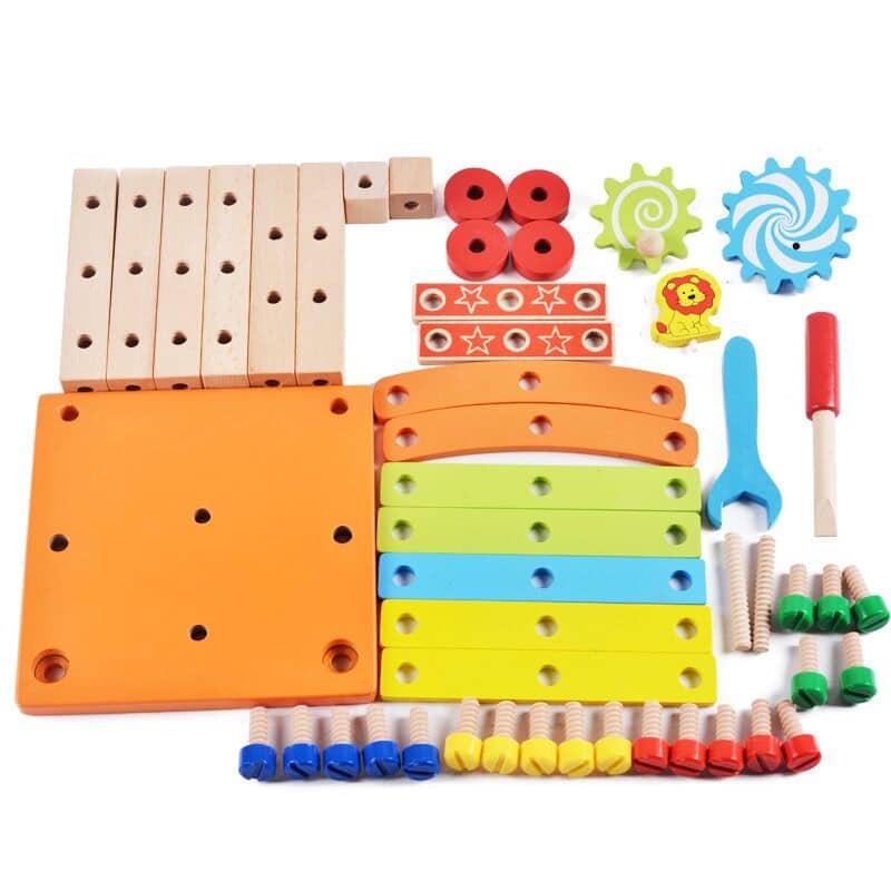 Royaleva Educational Montessori Wooden Toys For Preschool Children