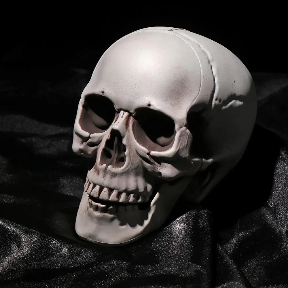 Fashion Halloween Props Skull Head Human Skeleton Hanging Decor Party Decoration Terrible Game Supplies All Size High Quality 1
