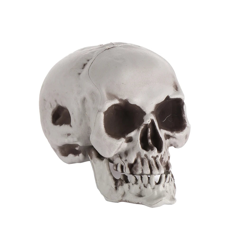 Fashion Halloween Props Skull Head Human Skeleton Hanging Decor Party Decoration Terrible Game Supplies All Size High Quality 10