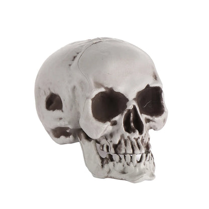 Fashion Halloween Props Skull Head Human Skeleton Hanging Decor Party Decoration Terrible Game Supplies All Size High Quality 10