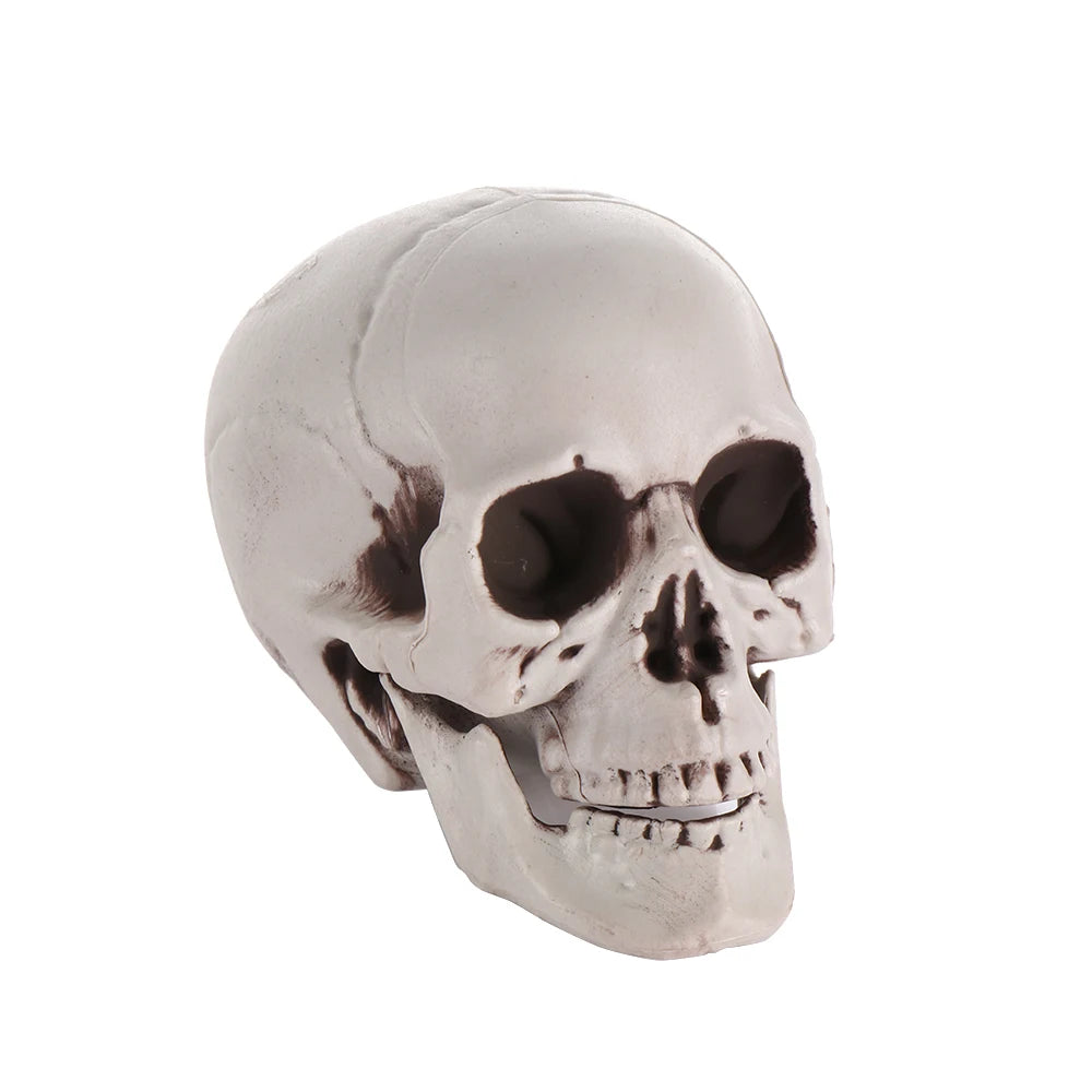Fashion Halloween Props Skull Head Human Skeleton Hanging Decor Party Decoration Terrible Game Supplies All Size High Quality 11