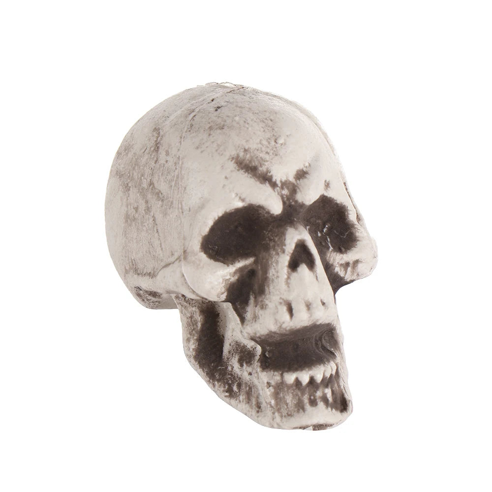 Fashion Halloween Props Skull Head Human Skeleton Hanging Decor Party Decoration Terrible Game Supplies All Size High Quality 12