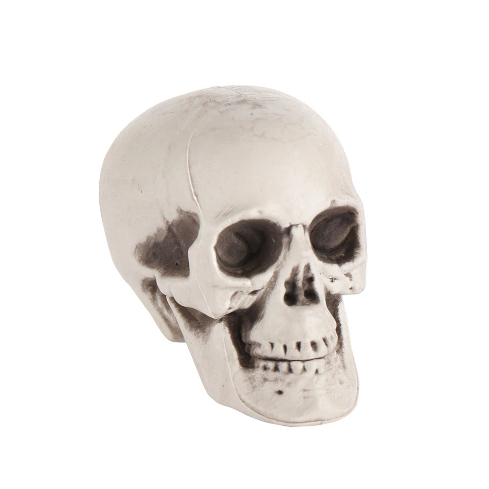 Fashion Halloween Props Skull Head Human Skeleton Hanging Decor Party Decoration Terrible Game Supplies All Size High Quality 13