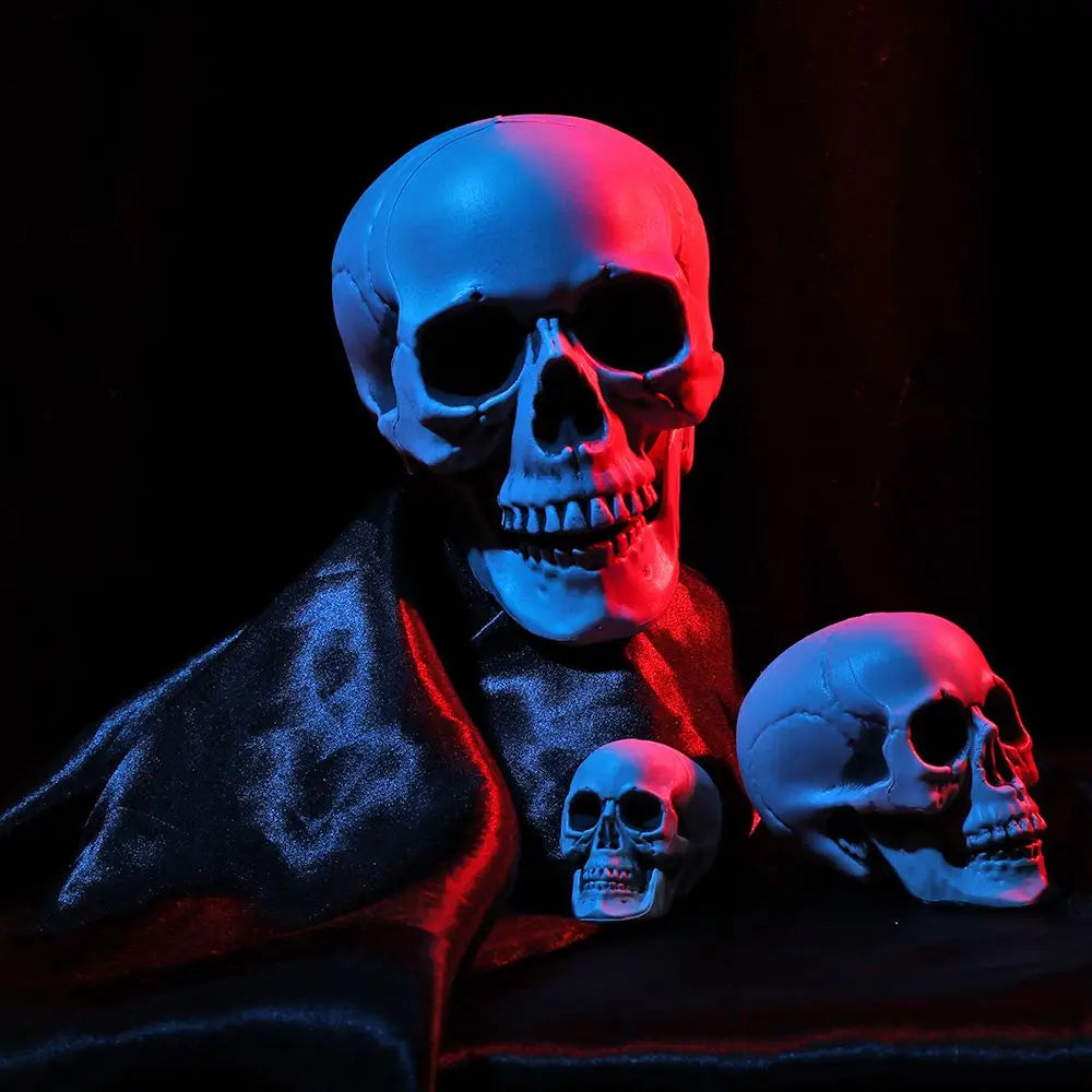 Fashion Halloween Props Skull Head Human Skeleton Hanging Decor Party Decoration Terrible Game Supplies All Size High Quality 2