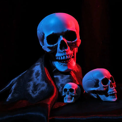 Fashion Halloween Props Skull Head Human Skeleton Hanging Decor Party Decoration Terrible Game Supplies All Size High Quality 2