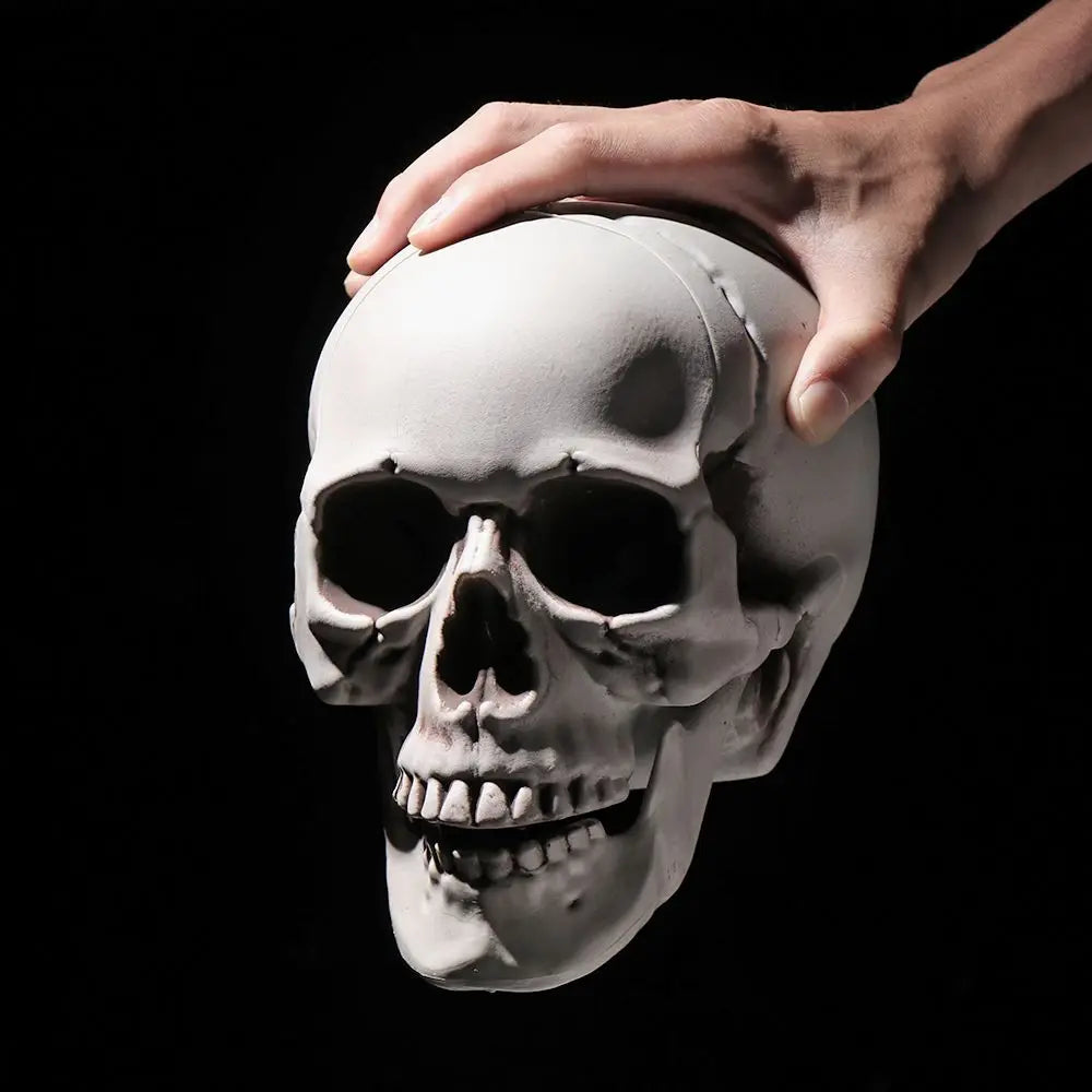 Fashion Halloween Props Skull Head Human Skeleton Hanging Decor Party Decoration Terrible Game Supplies All Size High Quality 3