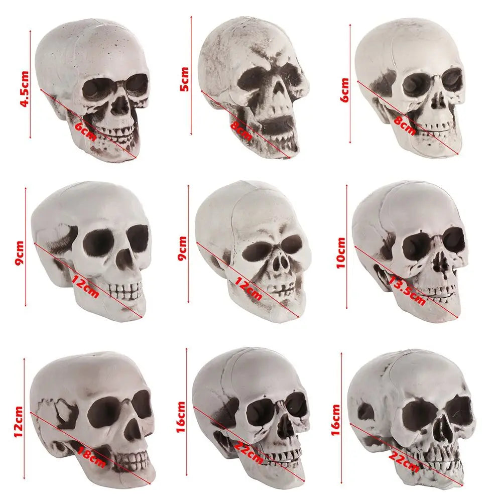 Fashion Halloween Props Skull Head Human Skeleton Hanging Decor Party Decoration Terrible Game Supplies All Size High Quality 5