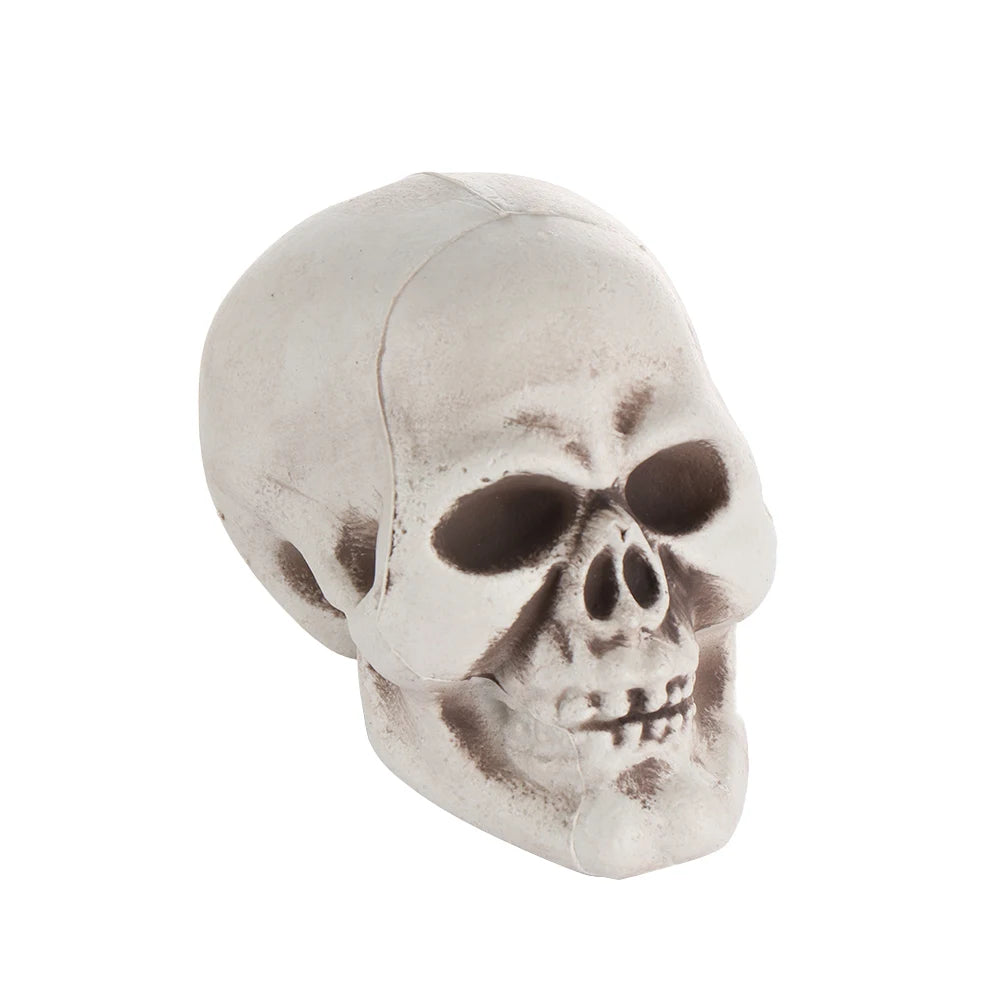 Fashion Halloween Props Skull Head Human Skeleton Hanging Decor Party Decoration Terrible Game Supplies All Size High Quality 7