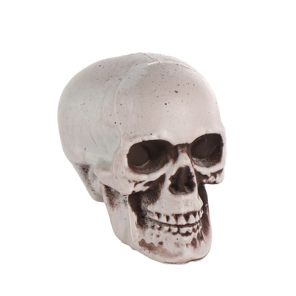 Fashion Halloween Props Skull Head Human Skeleton Hanging Decor Party Decoration Terrible Game Supplies All Size High Quality 8