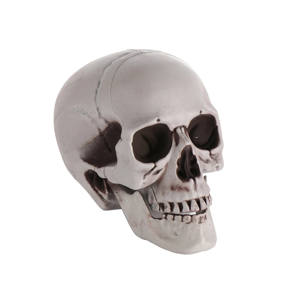 Fashion Halloween Props Skull Head Human Skeleton Hanging Decor Party Decoration Terrible Game Supplies All Size High Quality 9
