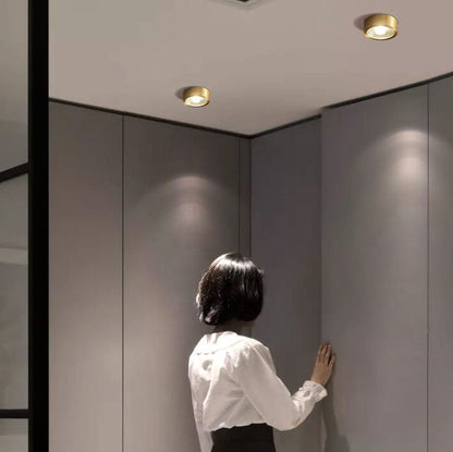 Lumora Copper Flush Mount Built In LED Ceiling Light For Hallway Living Room Bedroom