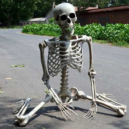 Full Life Size Human Skeleton Halloween Prop 90CM Haunted House Hanging Props Halloween Movable Skeleton Halloween Ornament Toys 0