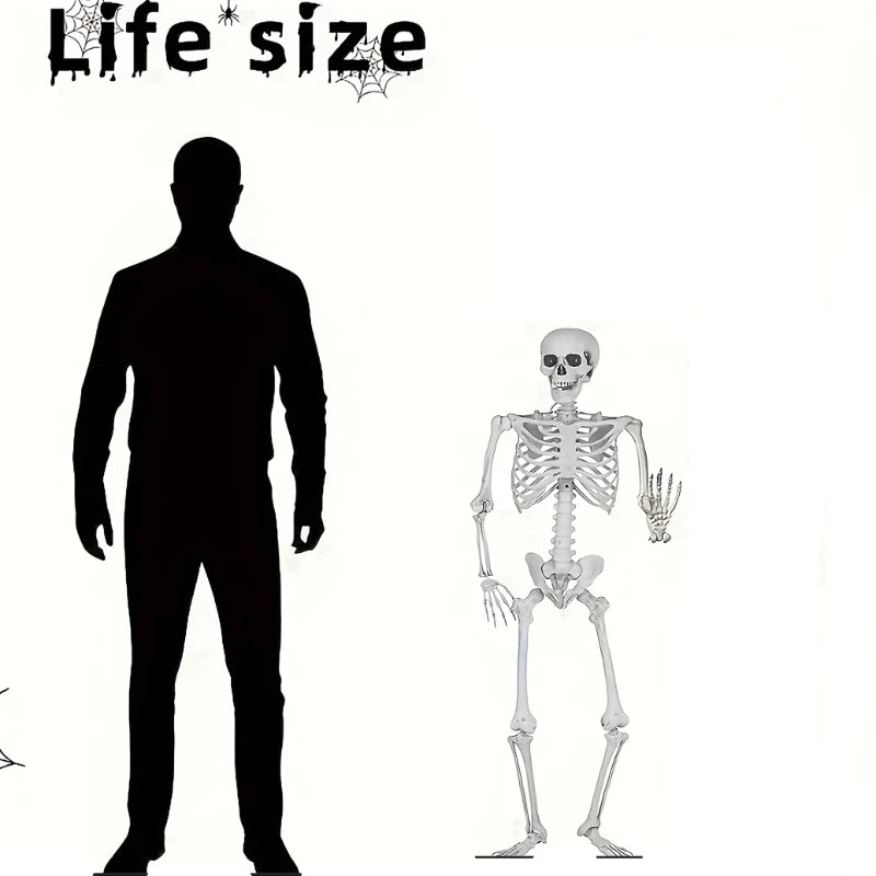 Full Life Size Human Skeleton Halloween Prop 90CM Haunted House Hanging Props Halloween Movable Skeleton Halloween Ornament Toys 5