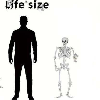 Full Life Size Human Skeleton Halloween Prop 90CM Haunted House Hanging Props Halloween Movable Skeleton Halloween Ornament Toys 5