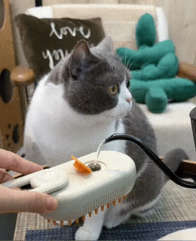 LuxRoyale Easy Groom Steam Brush for Stress-Free Cat Grooming