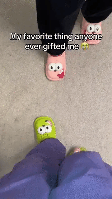 Royaleva Women's Cool Funny House Slippers Puppy Design