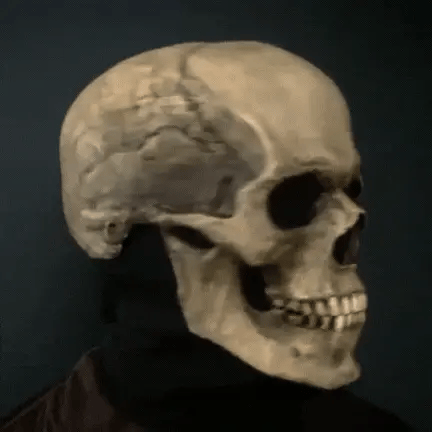 RoyaleGlow Movable Jaw Realistic Full Head Skull Mask - Human Skeleton Mask for Halloween Party