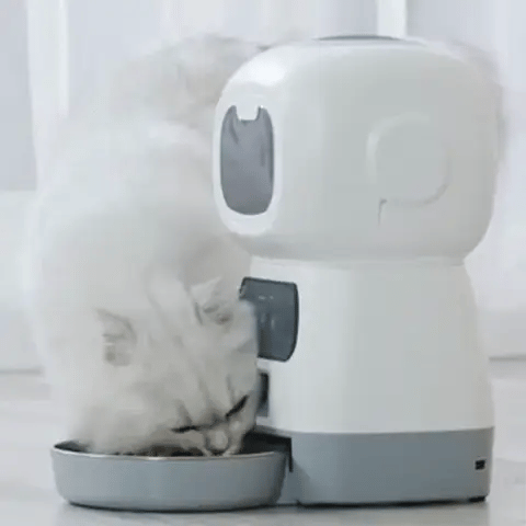 Royaleva Smart Automatic Pet Feeder For Dogs And Cats