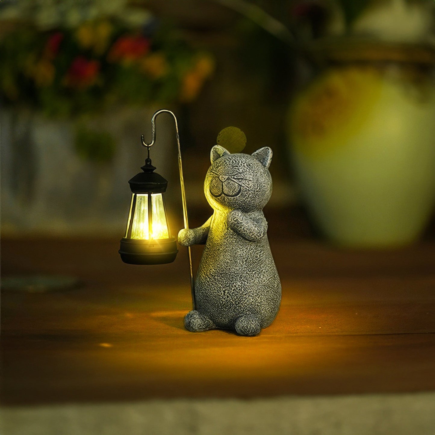 Golden Glow Cat 2