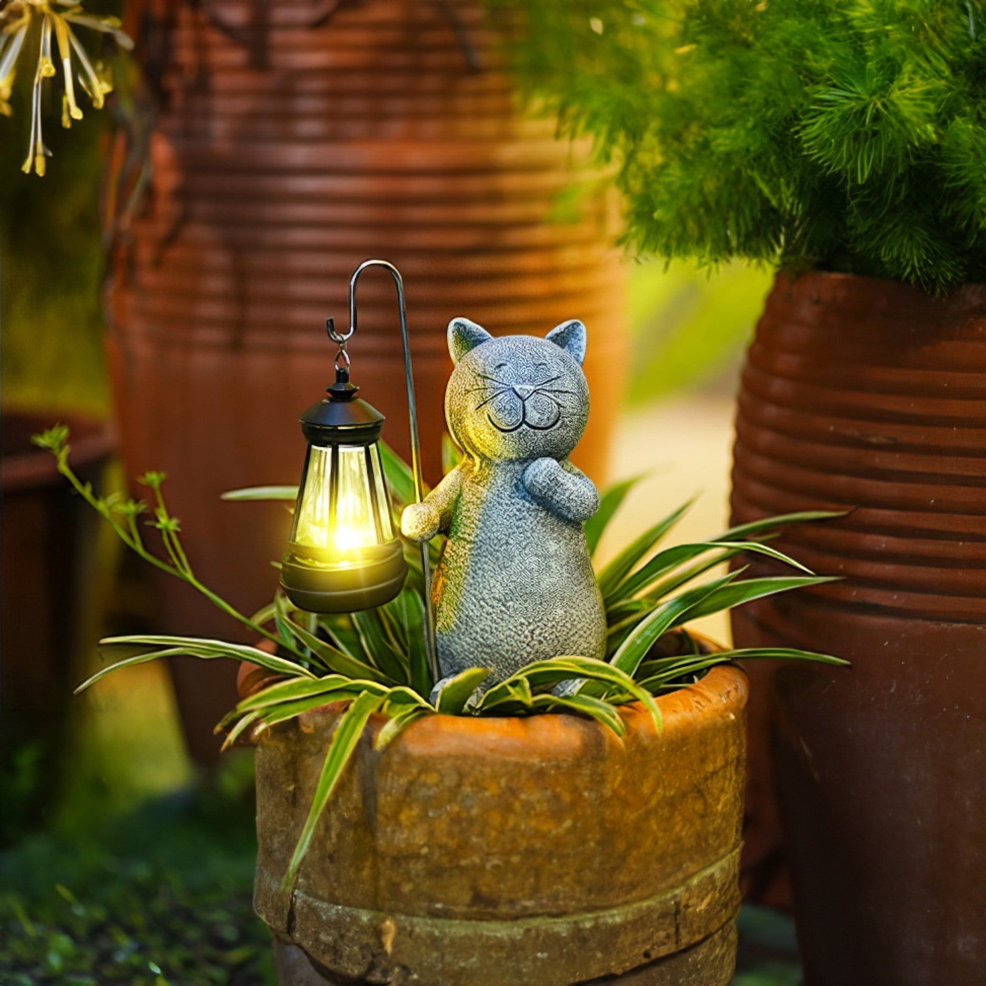 Golden Glow Cat 4