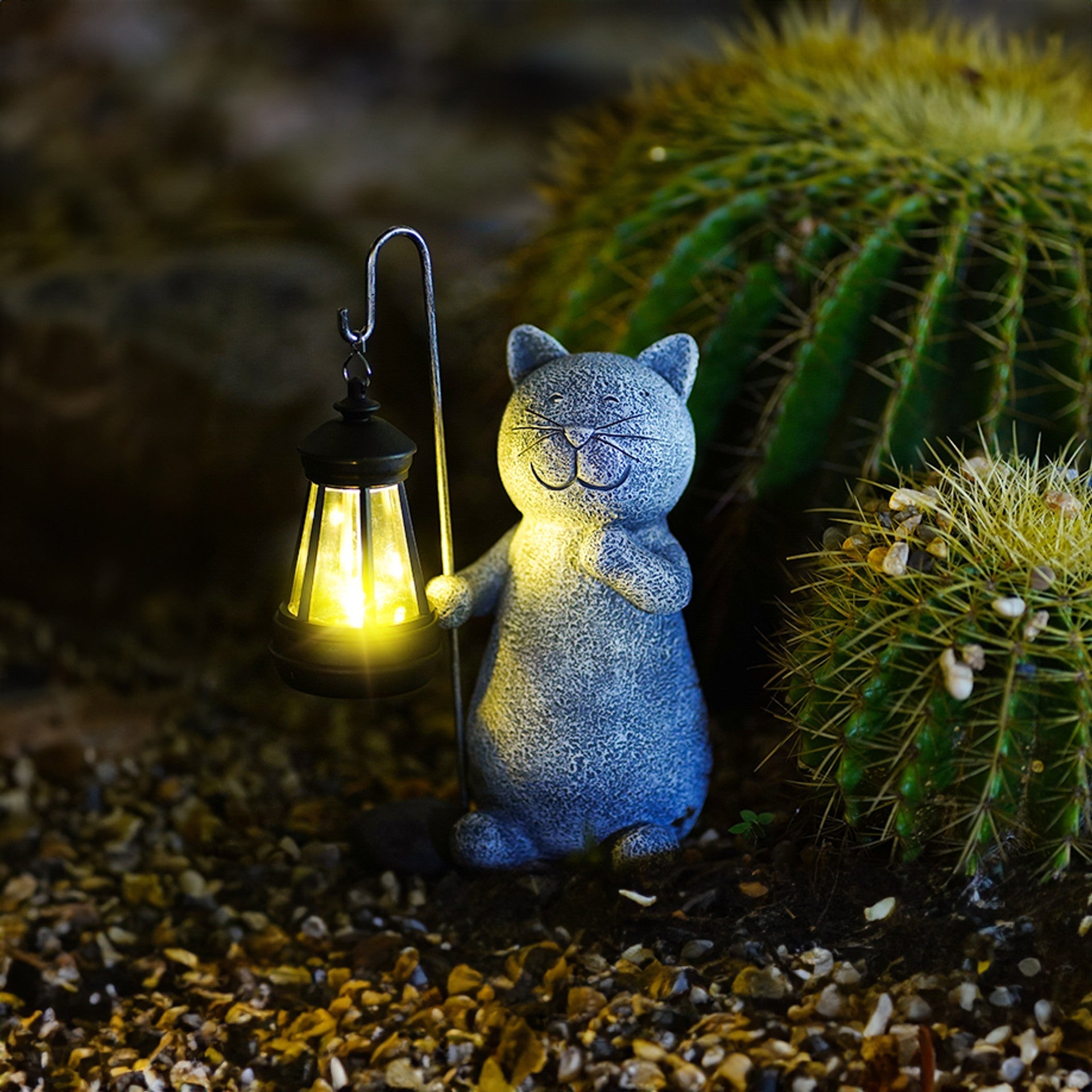 Golden Glow Cat 7