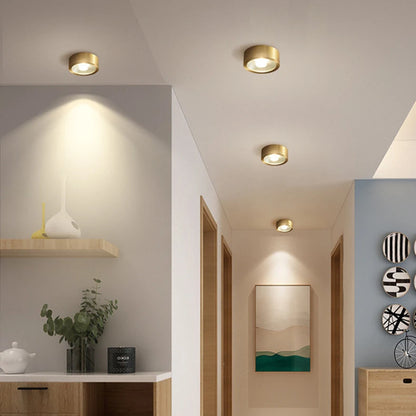 Lumora Copper Flush Mount Built In LED Ceiling Light For Hallway Living Room Bedroom