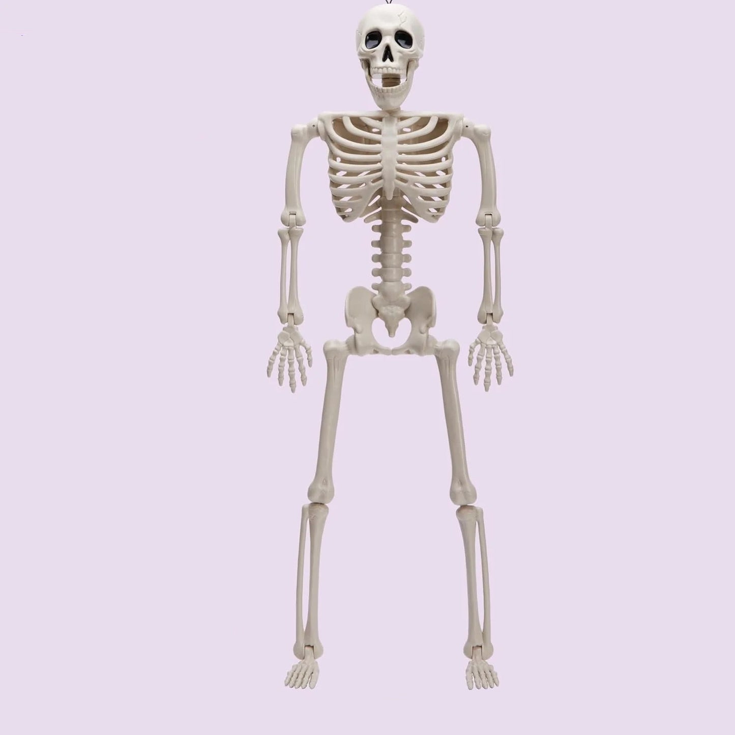 Halloween Outdoor Skeleton Plastic Posable Skeleton with Movable Joints Small Hanging Skeletons for Haunted House Graveyard Prop 6