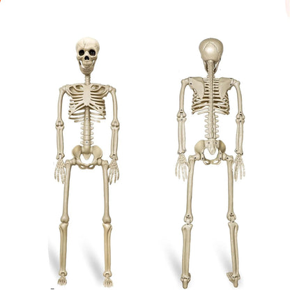 Halloween Outdoor Skeleton Plastic Posable Skeleton with Movable Joints Small Hanging Skeletons for Haunted House Graveyard Prop 7