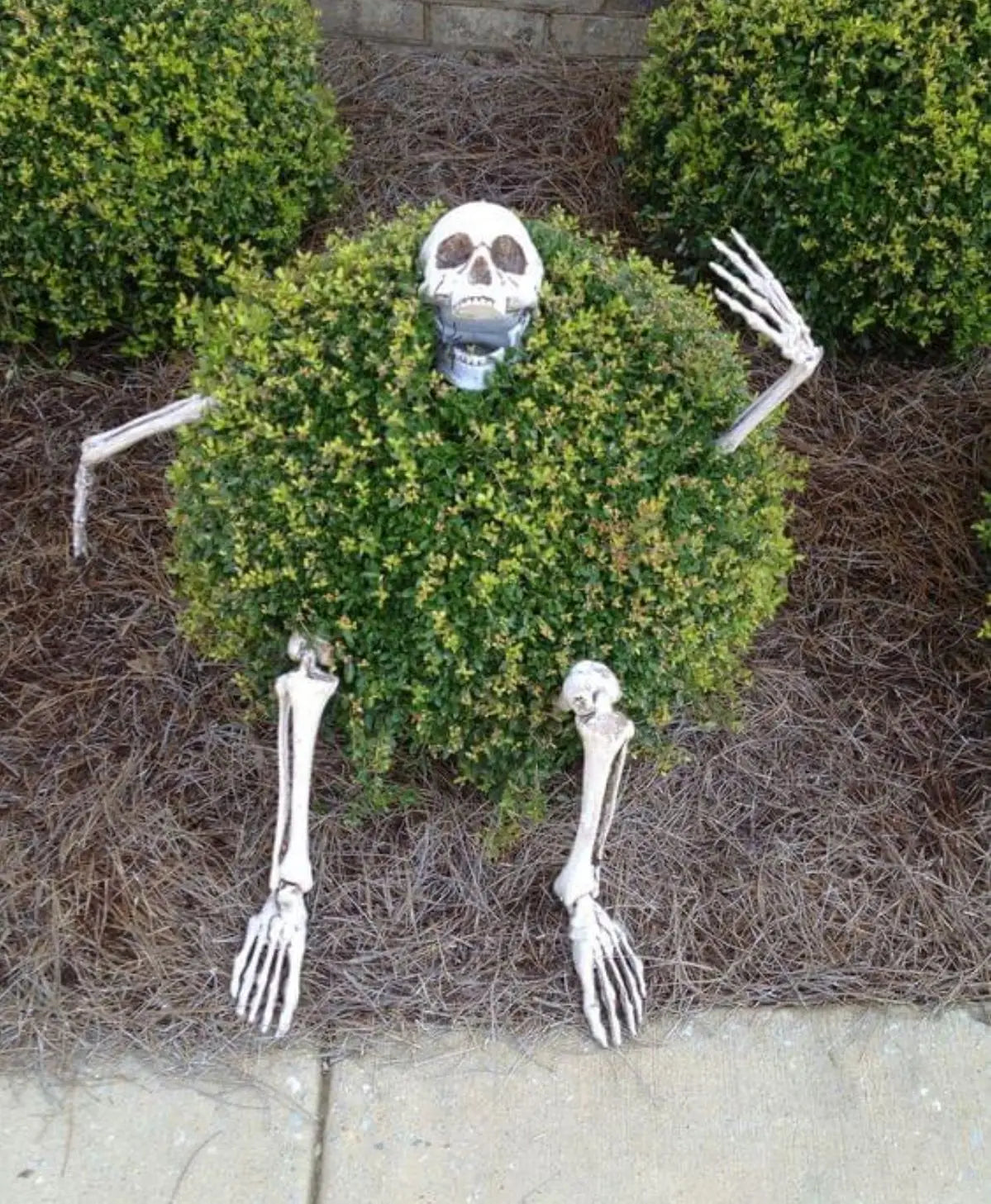 Halloween decor Skeleton Stakes Halloween Realistic Skull Skeleton Head Human Hand Arms for Halloween Party Home Garden Lawn 2