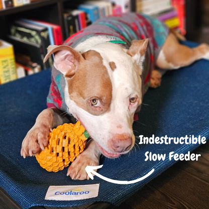 Pawellure Indestructible Pineapple Dog Chew Toy – Durable Treat Dispenser for Aggressive Chewers