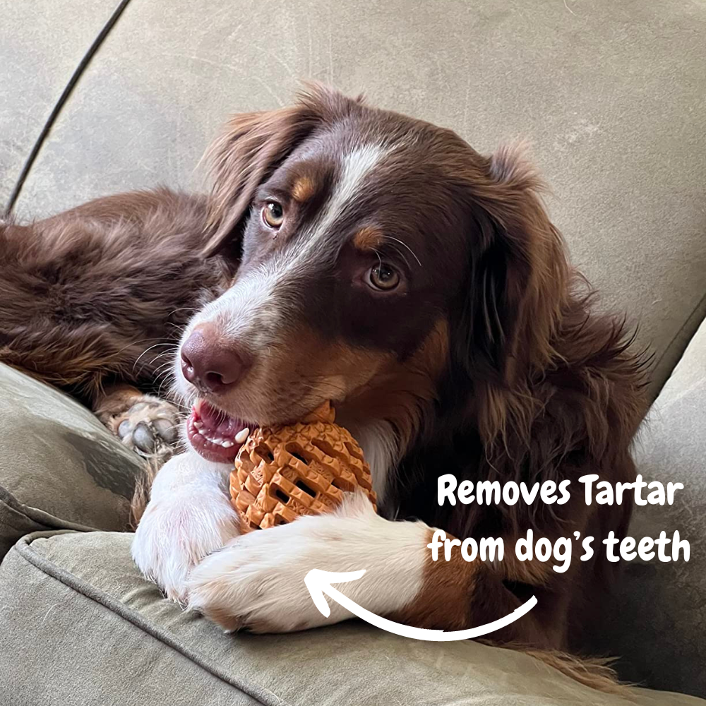 Pawellure Indestructible Pineapple Dog Chew Toy – Durable Treat Dispenser for Aggressive Chewers