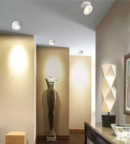 LuxRoyale Metal Rotating Downlight Ceiling Spot lights - Adjustable and Dimmable